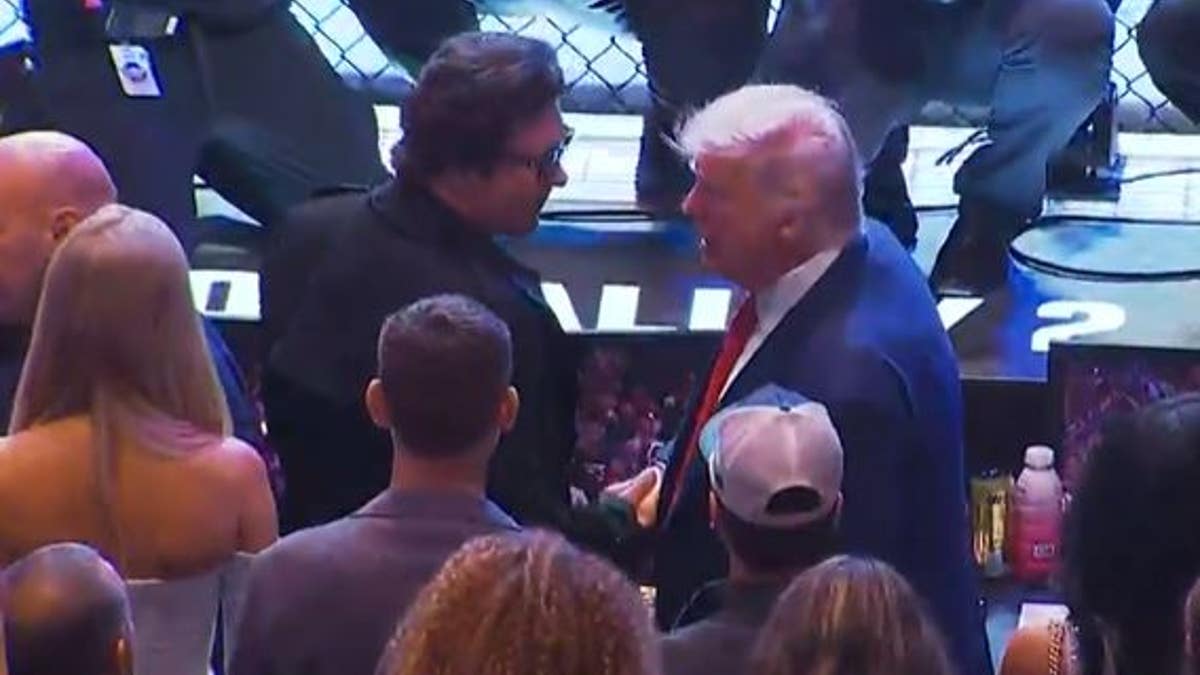 Donald Trump at UFC 316