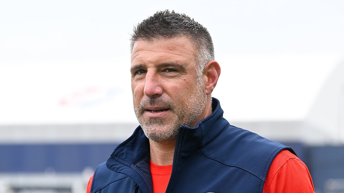 Mike Vrabel looks on field