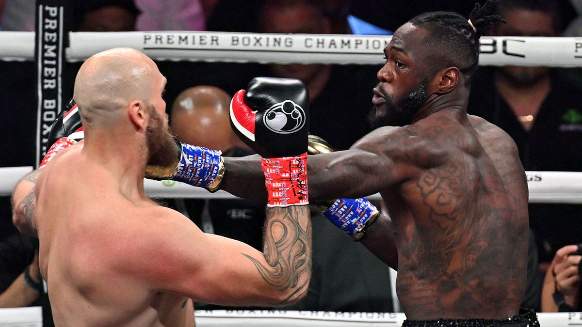 Deontay Wilder and Robert Helenius fight