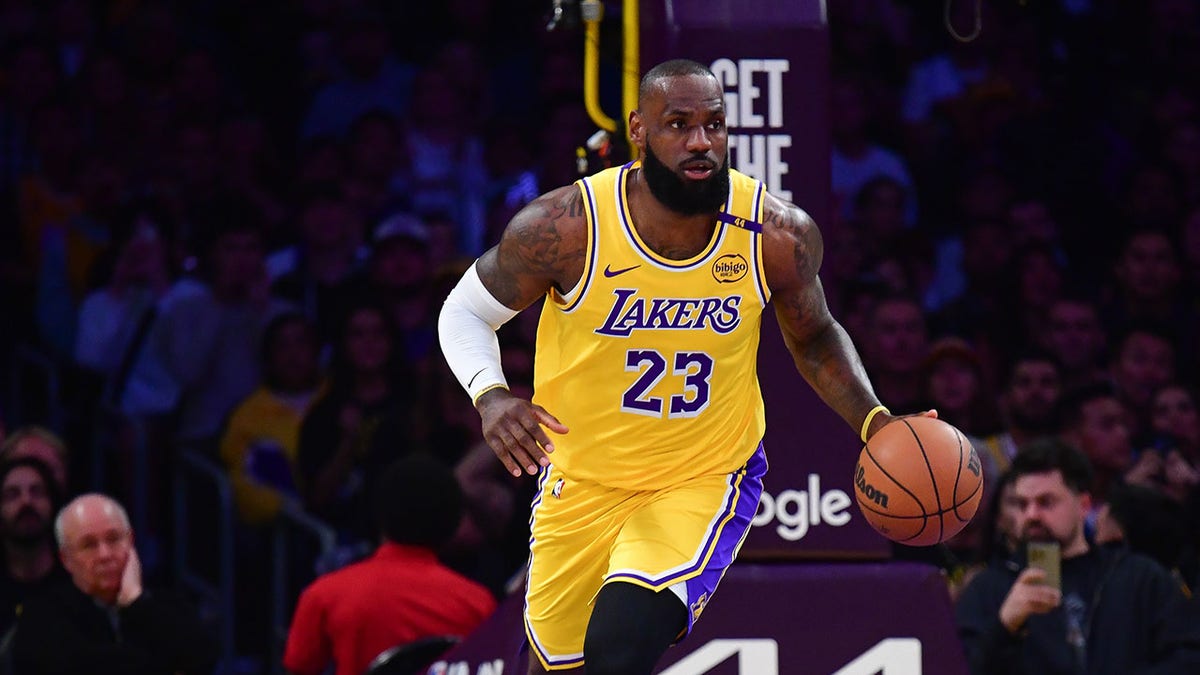 LeBron James dribbling